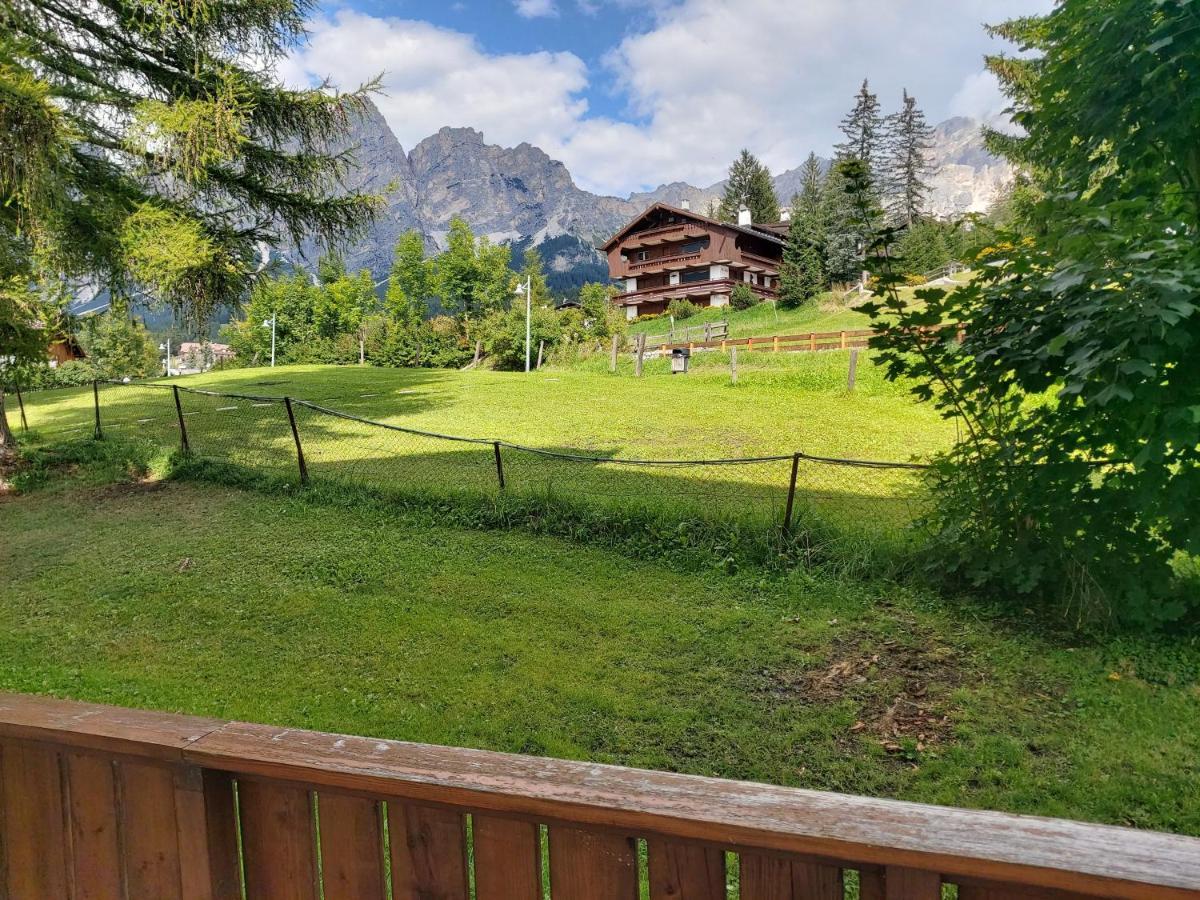 Appartamento Cortina 1956 科尔蒂纳丹佩佐 外观 照片
