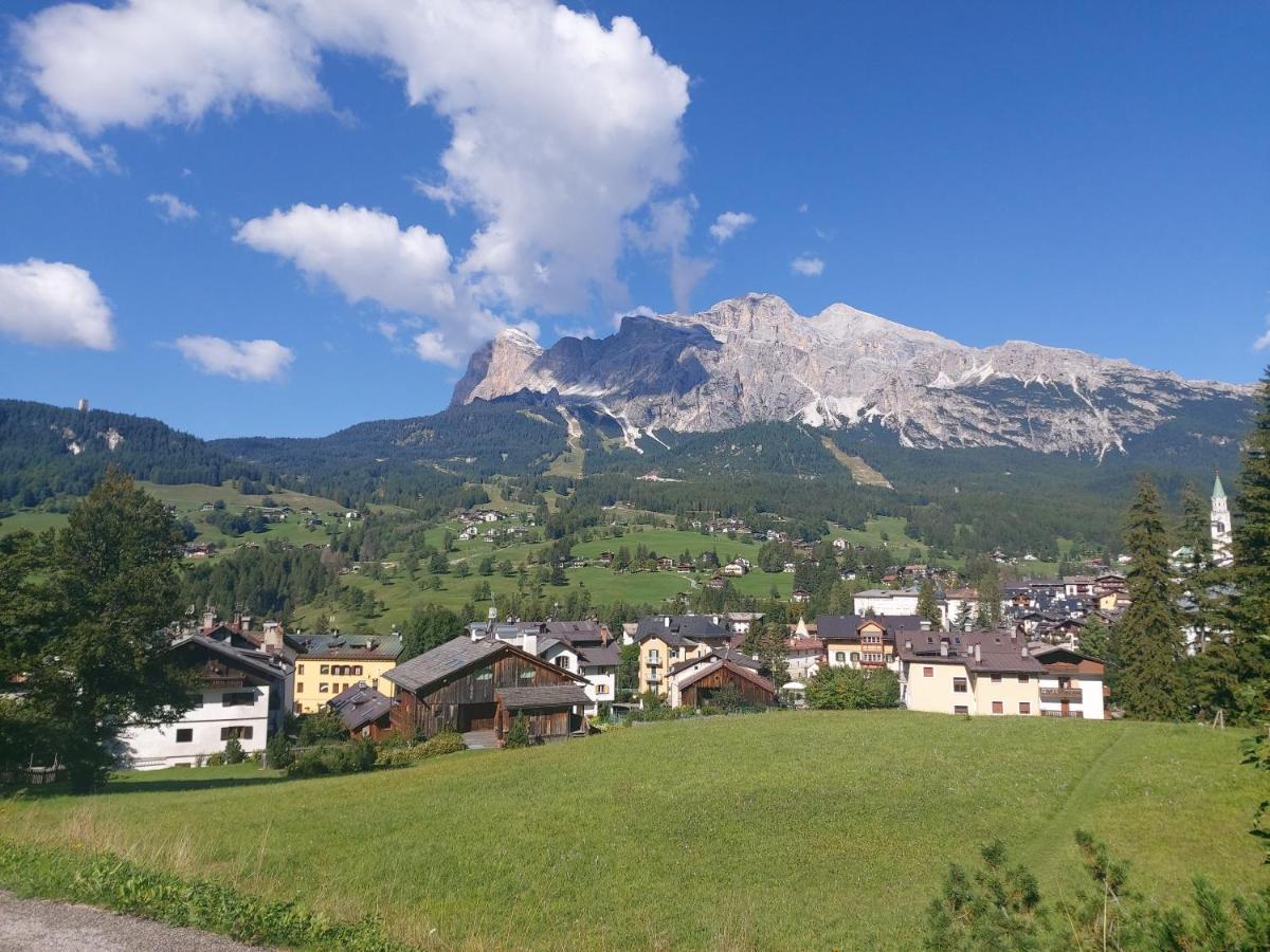 Appartamento Cortina 1956 科尔蒂纳丹佩佐 外观 照片